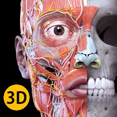 تحميل تطبيق Anatomy مهكر بدون إعلانات مجاناً 2027 للأندرويد