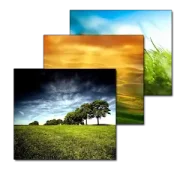 تحميل تطبيق Wallpaper Changer مهكر بدون إعلانات مجاناً 2027 للأندرويد