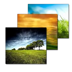 تحميل تطبيق Wallpaper Changer مهكر بدون إعلانات مجاناً 2027 للأندرويد