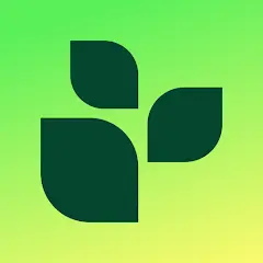 تحميل تطبيق Lifesum مهكر بدون إعلانات مجاناً 2027 للأندرويد