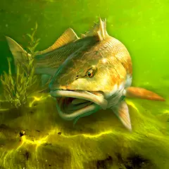 تحميل لعبة My Fishing World مهكرة 2027 للأندرويد APK مجاناً