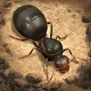 تحميل لعبة The Ants: Underground Kingdom مهكرة 2027 للأندرويد APK مجاناً