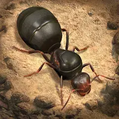 تحميل لعبة The Ants: Underground Kingdom مهكرة 2027 للأندرويد APK مجاناً