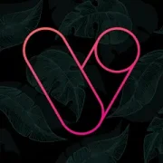 تحميل تطبيق Vera Outline Icon Pack مهكر بدون إعلانات مجاناً 2027 للأندرويد