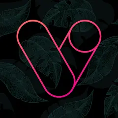 تحميل تطبيق Vera Outline Icon Pack مهكر بدون إعلانات مجاناً 2027 للأندرويد